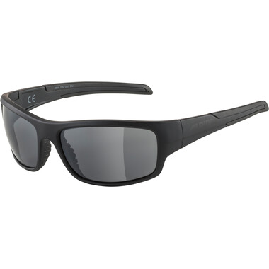 ALPINA TESTIDO Sunglasses Black 2023 0